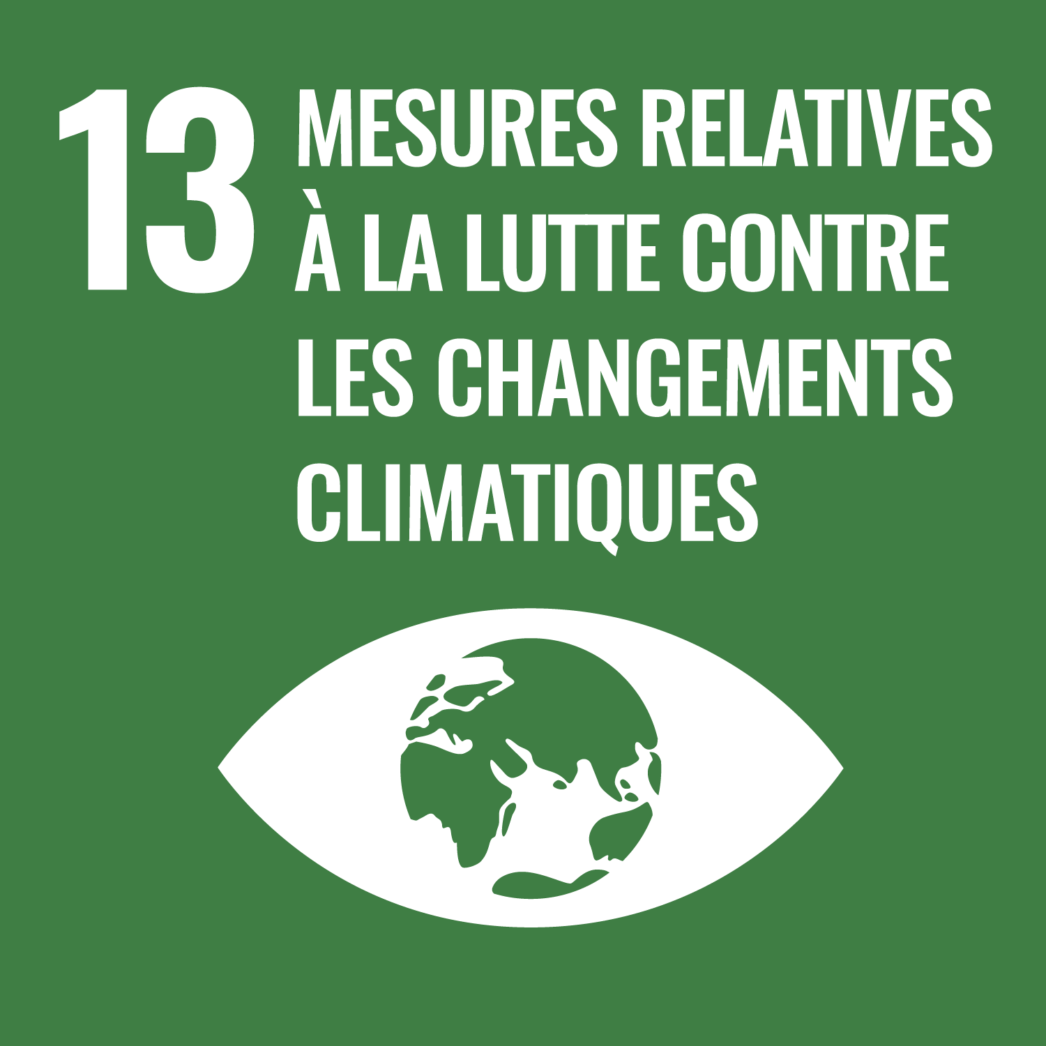 White logo of 13 Climate Action